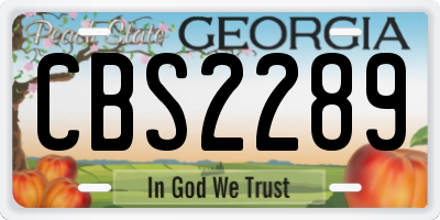 GA license plate CBS2289