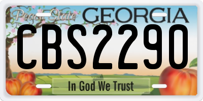 GA license plate CBS2290
