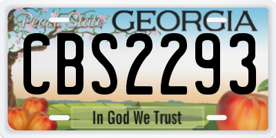 GA license plate CBS2293