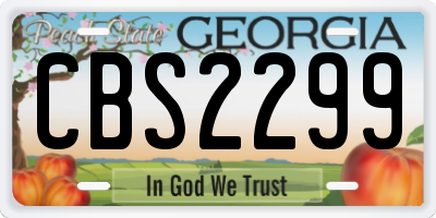 GA license plate CBS2299