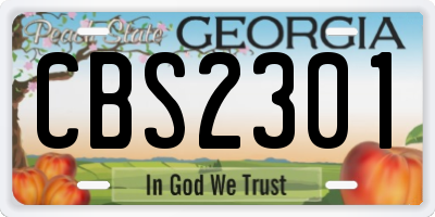 GA license plate CBS2301