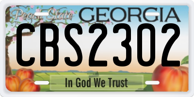 GA license plate CBS2302