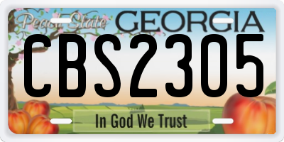 GA license plate CBS2305
