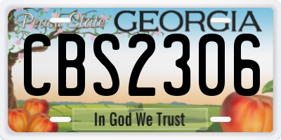 GA license plate CBS2306