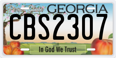 GA license plate CBS2307