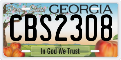 GA license plate CBS2308