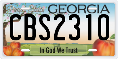 GA license plate CBS2310