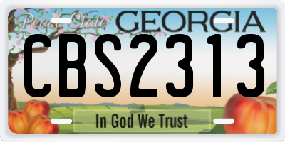 GA license plate CBS2313
