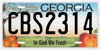 GA license plate CBS2314