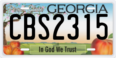 GA license plate CBS2315