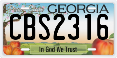 GA license plate CBS2316