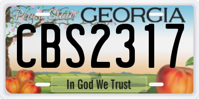 GA license plate CBS2317