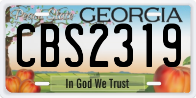 GA license plate CBS2319