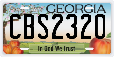 GA license plate CBS2320