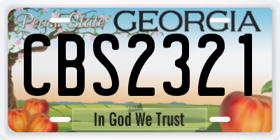GA license plate CBS2321
