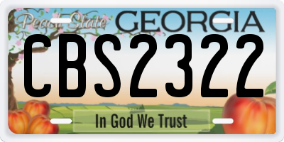 GA license plate CBS2322