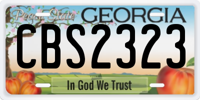 GA license plate CBS2323