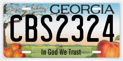 GA license plate CBS2324