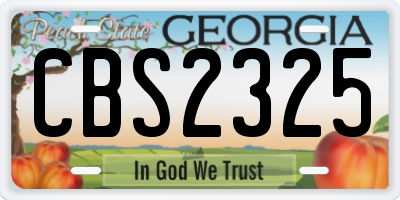 GA license plate CBS2325