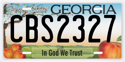 GA license plate CBS2327