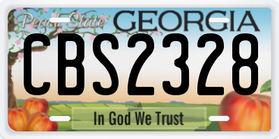 GA license plate CBS2328