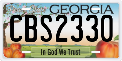 GA license plate CBS2330