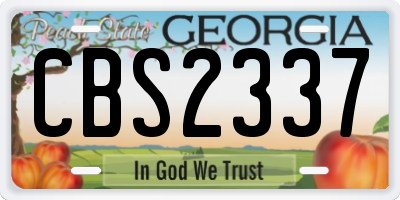 GA license plate CBS2337