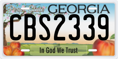 GA license plate CBS2339