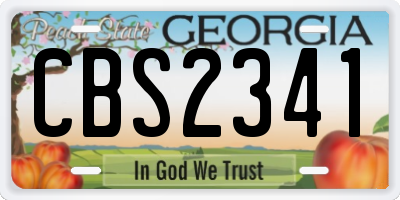 GA license plate CBS2341
