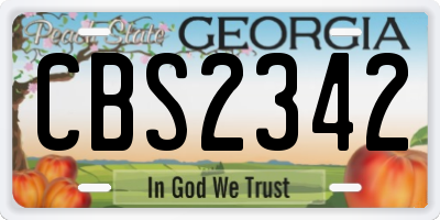 GA license plate CBS2342