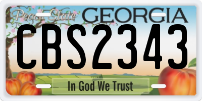 GA license plate CBS2343