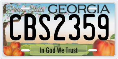 GA license plate CBS2359
