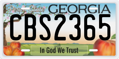 GA license plate CBS2365