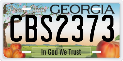 GA license plate CBS2373