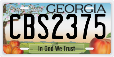 GA license plate CBS2375