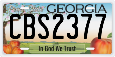 GA license plate CBS2377