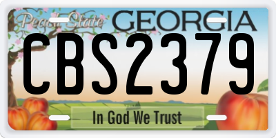 GA license plate CBS2379