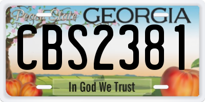 GA license plate CBS2381