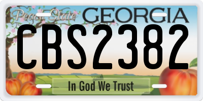 GA license plate CBS2382