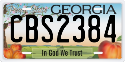 GA license plate CBS2384