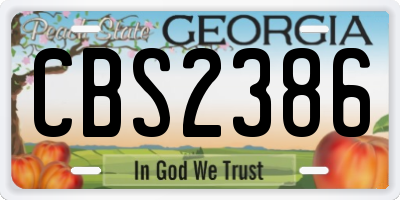 GA license plate CBS2386