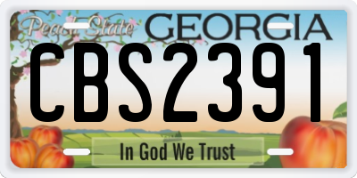 GA license plate CBS2391