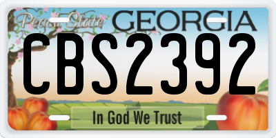 GA license plate CBS2392