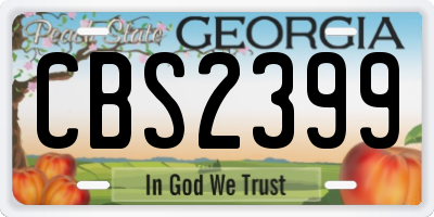 GA license plate CBS2399