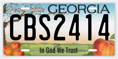 GA license plate CBS2414