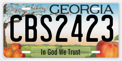 GA license plate CBS2423