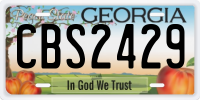 GA license plate CBS2429