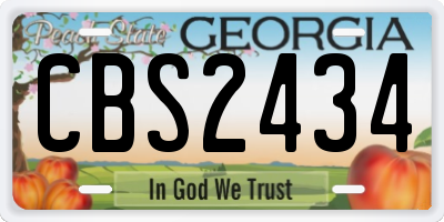 GA license plate CBS2434