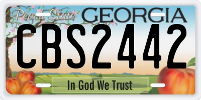 GA license plate CBS2442