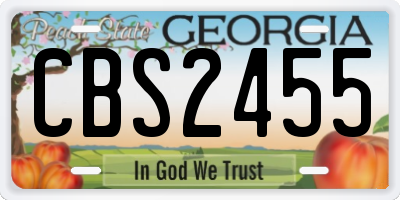 GA license plate CBS2455